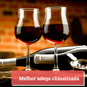 melhor-adega-climatizada-1